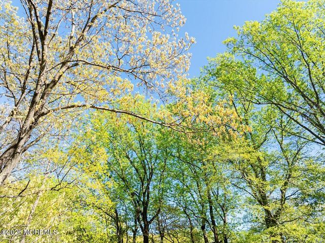 6 Twin Brooks Court, Holmdel, NJ 07733