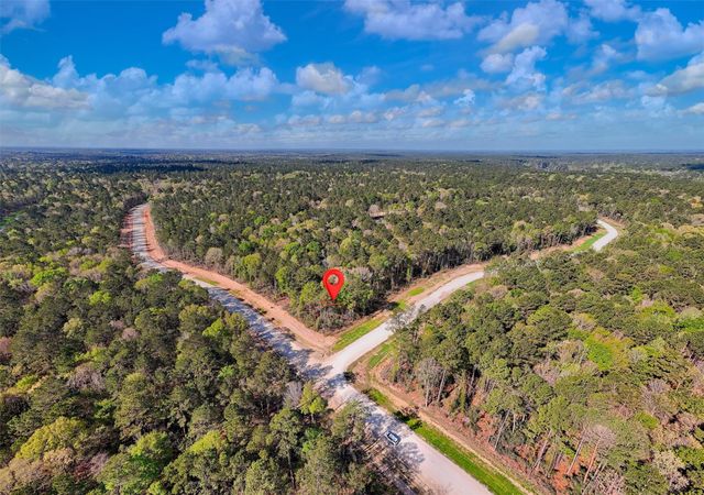 111 Rustic Ranch Drive, New Waverly, TX 77358