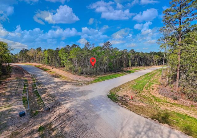 111 Rustic Ranch Drive, New Waverly, TX 77358