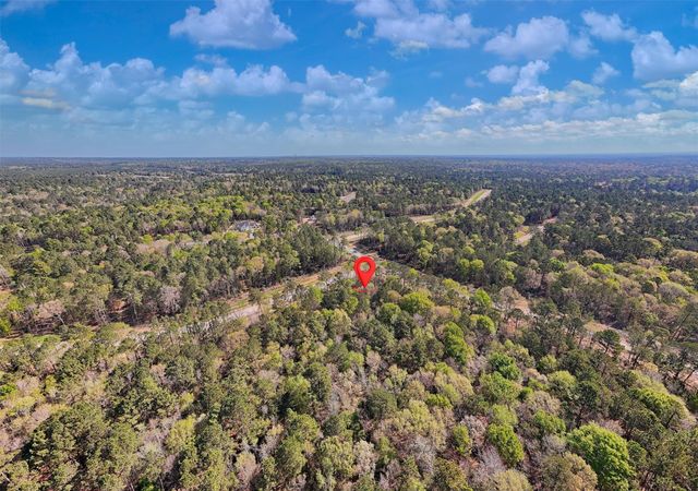 111 Rustic Ranch Drive, New Waverly, TX 77358