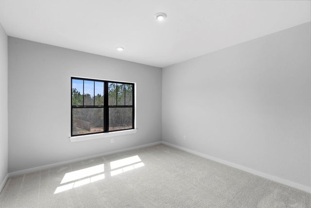 41692 Wendele Way, Todd Mission, TX 77316