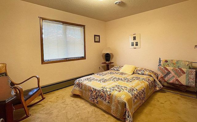 38264 N Shore Drive, Battle Lake, MN 56515