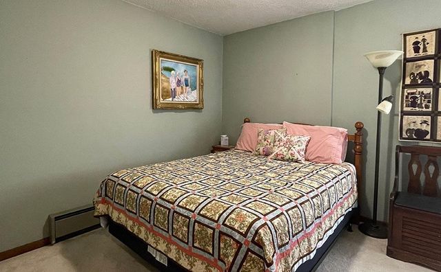 38264 N Shore Drive, Battle Lake, MN 56515