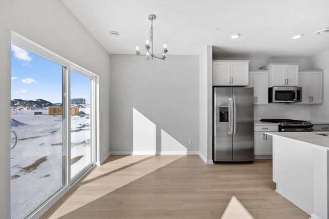 1007 130th Court E, Rosemount, MN 55068