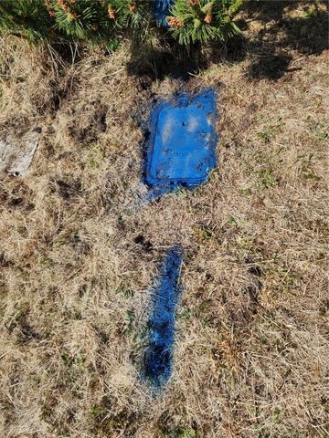 31105 G Street, Ocean Park, WA 98640