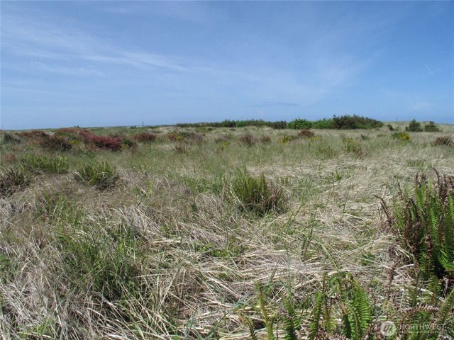 31105 G Street, Ocean Park, WA 98640