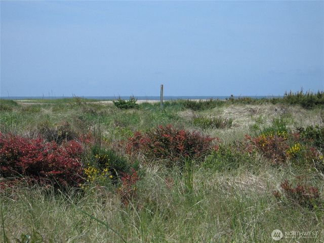 31105 G Street, Ocean Park, WA 98640