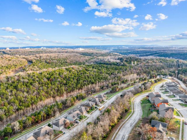 113 Jury Lane, Branson, MO 65616