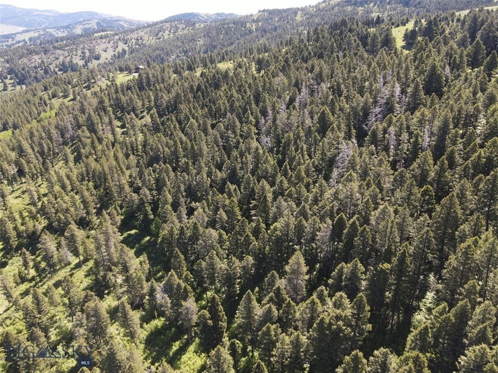 770 Mountain Moose Road, Bozeman, MT 59715 photo 29