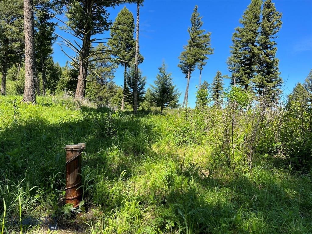 770 Mountain Moose Road, Bozeman, MT 59715 photo 33