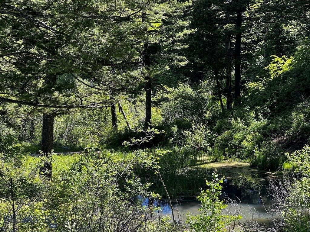 770 Mountain Moose Road, Bozeman, MT 59715 photo 42