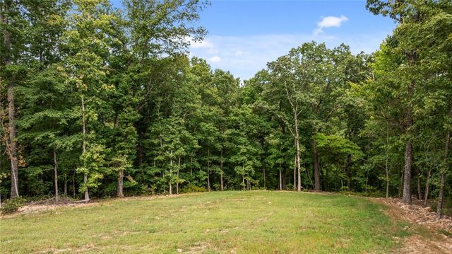 41 S Cheshnut Drive, Bella Vista, AR 72714