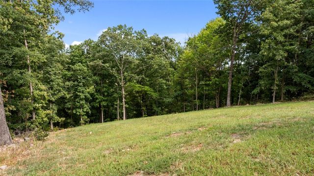 41 S Cheshnut Drive, Bella Vista, AR 72714