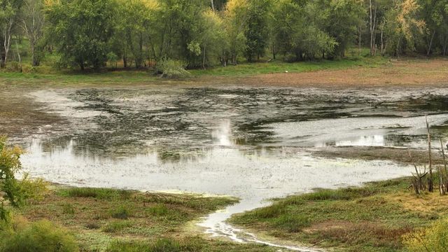 S5237 St Hwy 35, Genoa, WI 54632