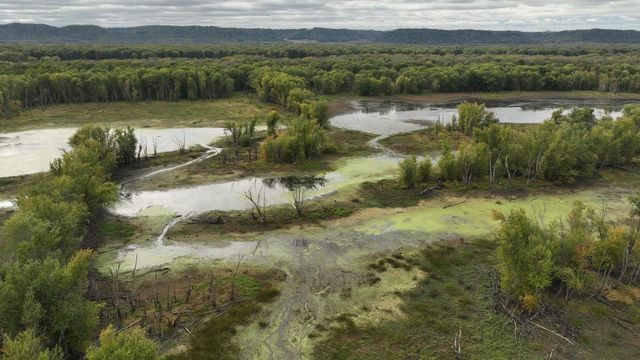 S5237 St Hwy 35, Genoa, WI 54632