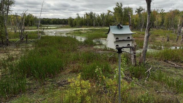 S5237 St Hwy 35, Genoa, WI 54632