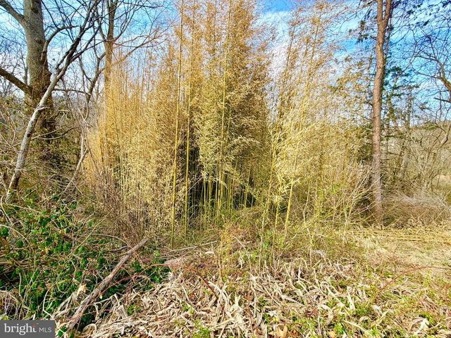 7081 BIG COVE TANNERY RD, Big Cove Tannery, PA 17212