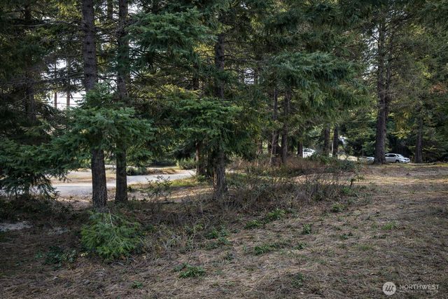 0 xxx Hermitage Drive, Cle Elum, WA 98922