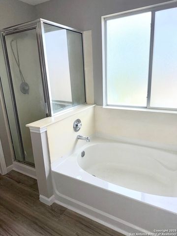12126 CARRIAGE TREE, San Antonio, TX 78249