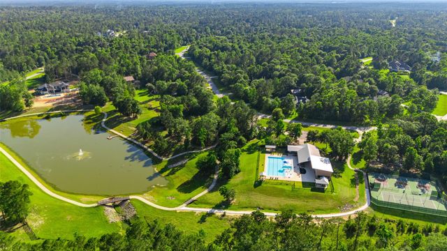 7334 Magnolia Hollow Dr Drive, Montgomery, TX 77316