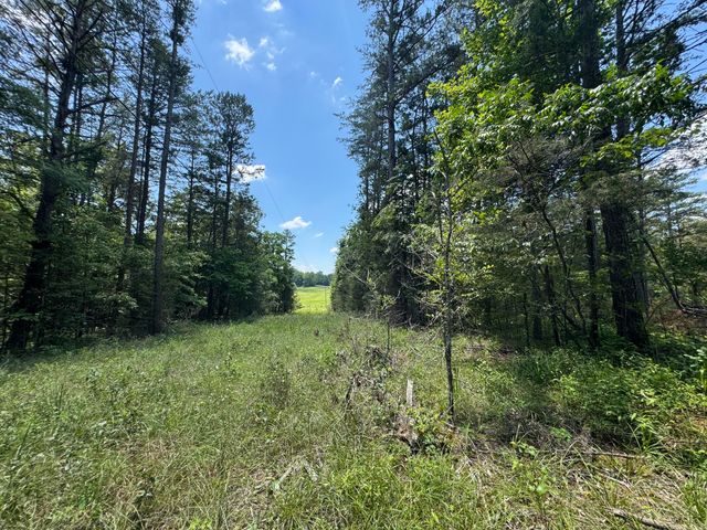 5110-5052 Hwy 790, Bronston, KY 42518