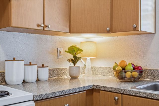 14421 AMERICANA CIRCLE 204, Tampa, FL 33613