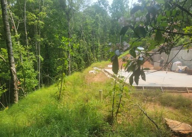 2083 Day Lily Drive, Marble, NC 28905