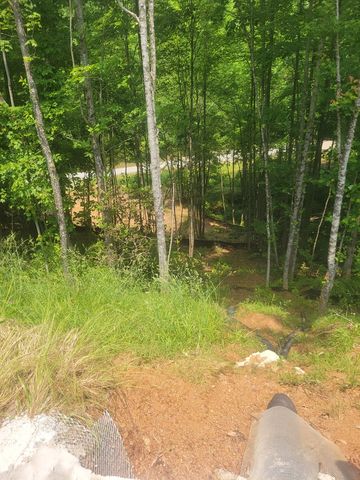 2083 Day Lily Drive, Marble, NC 28905