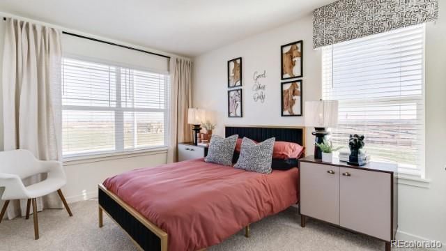 4601 Combine Lane, Johnstown, CO 80534