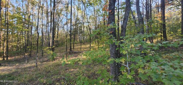 0 View Pointe Drive, Clinton, MS 39056
