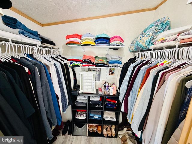 14192 BACKBONE RD, Eden, MD 21822