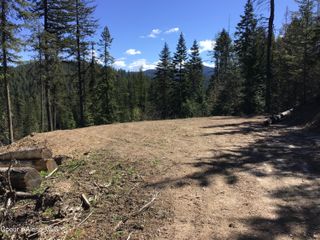 NKA Highway 97, Harrison, ID 83833