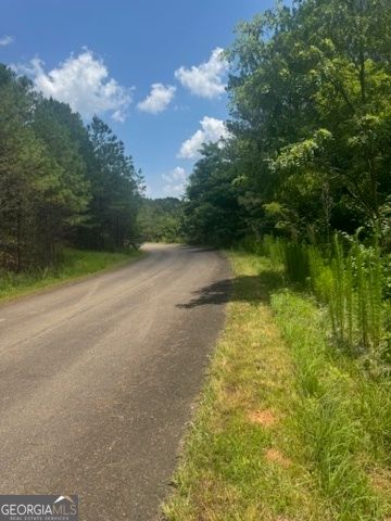 LTS 43 & 44 Reece Mountain Road, Ellijay, GA 30536