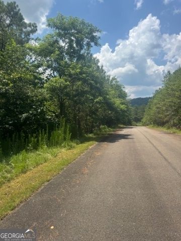 LTS 43 & 44 Reece Mountain Road, Ellijay, GA 30536