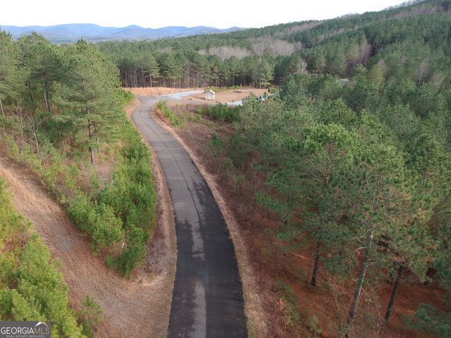LTS 43 & 44 Reece Mountain Road, Ellijay, GA 30536