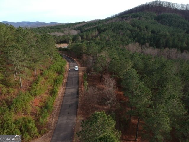 LTS 43 & 44 Reece Mountain Road, Ellijay, GA 30536