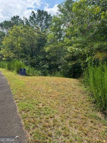 LTS 43 & 44 Reece Mountain Road, Ellijay, GA 30536