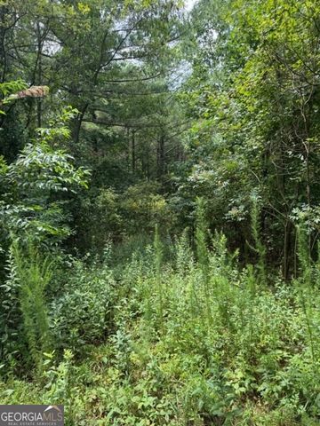 LTS 43 & 44 Reece Mountain Road, Ellijay, GA 30536