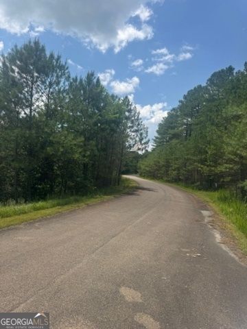 LTS 43 & 44 Reece Mountain Road, Ellijay, GA 30536