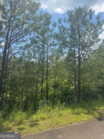 LTS 43 & 44 Reece Mountain Road, Ellijay, GA 30536