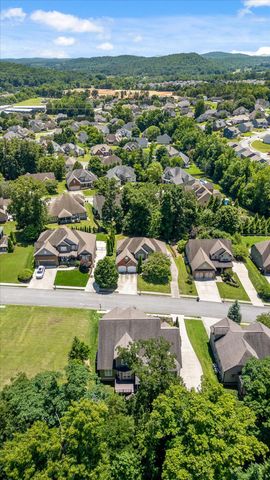 4217 Cripple Bush Court, Apison, TN 37302