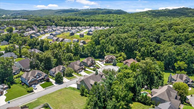 4217 Cripple Bush Court, Apison, TN 37302