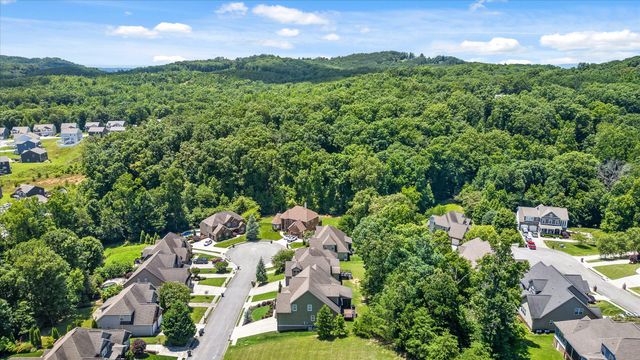 4217 Cripple Bush Court, Apison, TN 37302