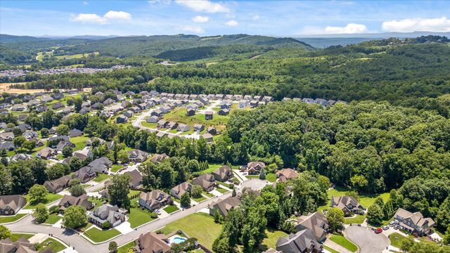 4217 Cripple Bush Court, Apison, TN 37302