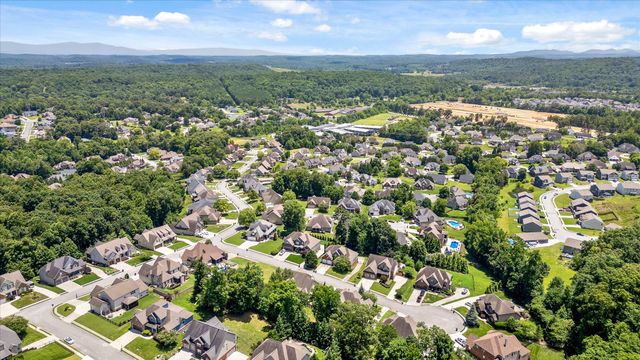 4217 Cripple Bush Court, Apison, TN 37302