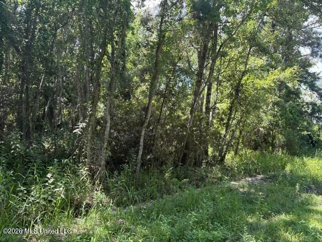 N Juanita Lot 1156,1157 Street, Ocean Springs, MS 39564