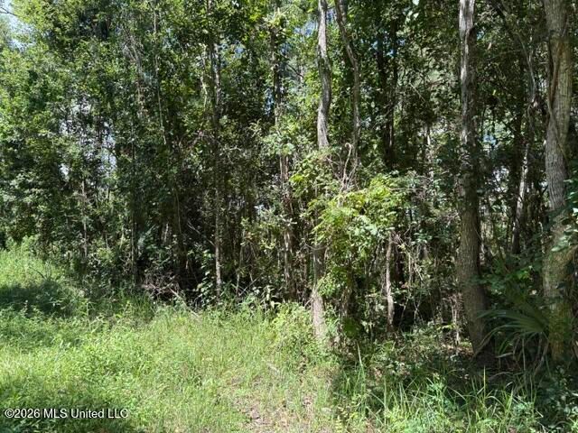 N Juanita Lot 1156,1157 Street, Ocean Springs, MS 39564