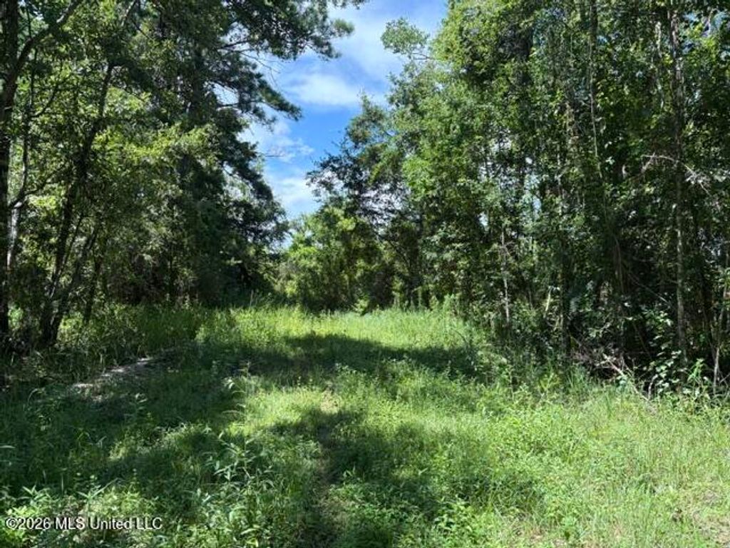 N Juanita Lot 1156,1157 Street, Ocean Springs, MS 39564