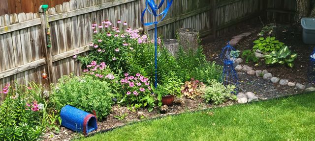 4306 NW 4th Street, Ankeny, IA 50023