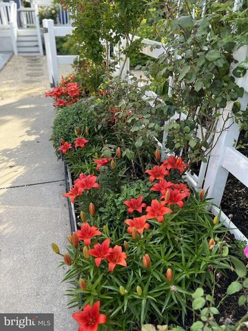 14107 LAUREL AVE, Ocean City, MD 21842